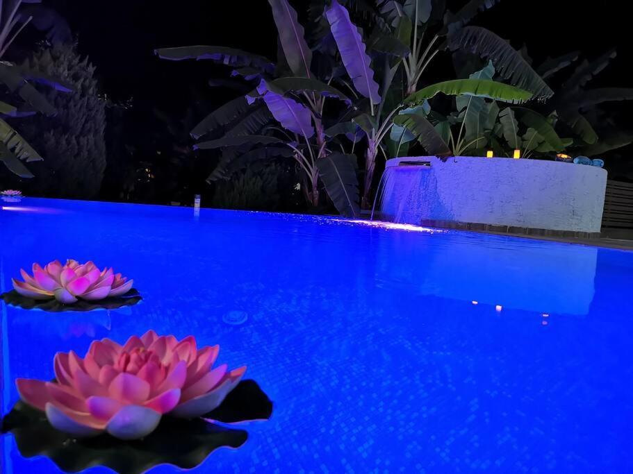 Valantas Garden Suite Λάρδος Εξωτερικό φωτογραφία