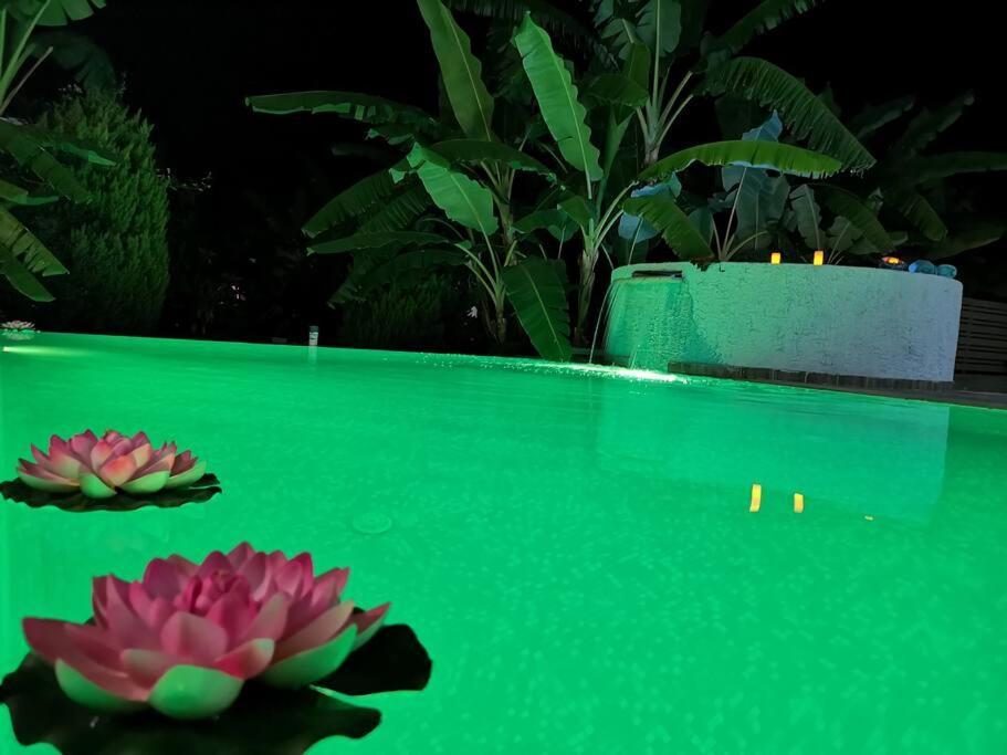 Valantas Garden Suite Λάρδος Εξωτερικό φωτογραφία